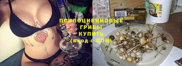 соль ск Лагань