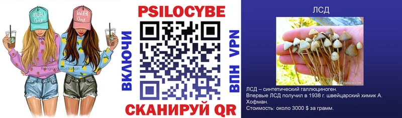 наркотики  Ртищево  Псилоцибиновые грибы ЛСД 