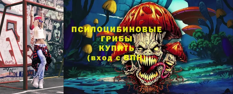 Псилоцибиновые грибы MAGIC MUSHROOMS  купить наркотики сайты  Ртищево 