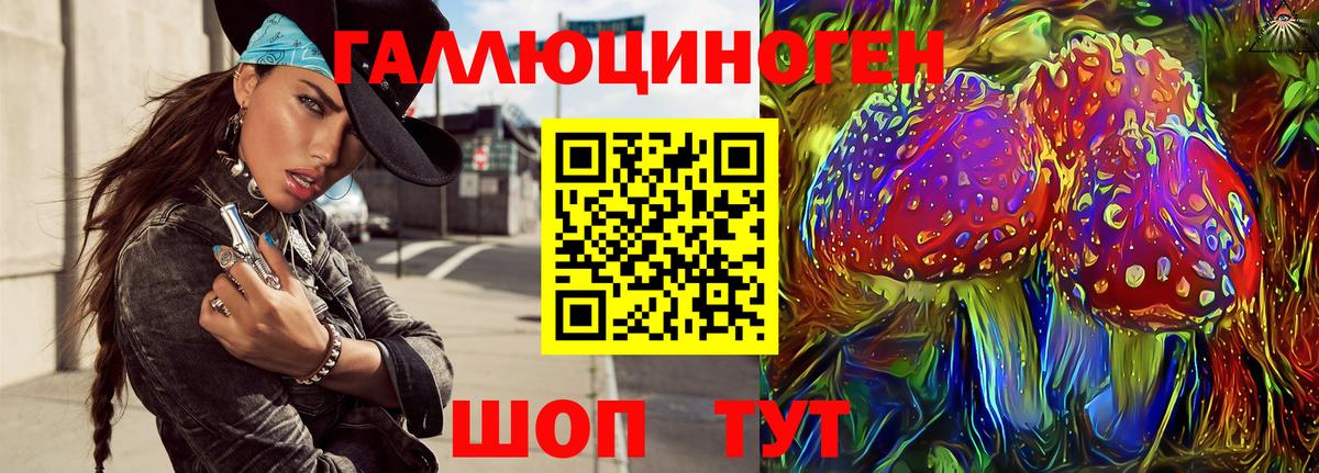 купить  цена  Ртищево  Галлюциногенные грибы Psilocybe 