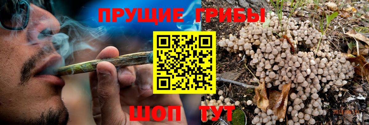 Галлюциногенные грибы Cubensis Ртищево